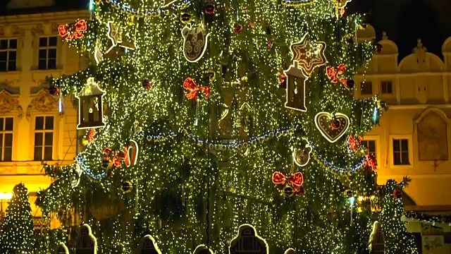 老城的圣诞树，淘金视频下载