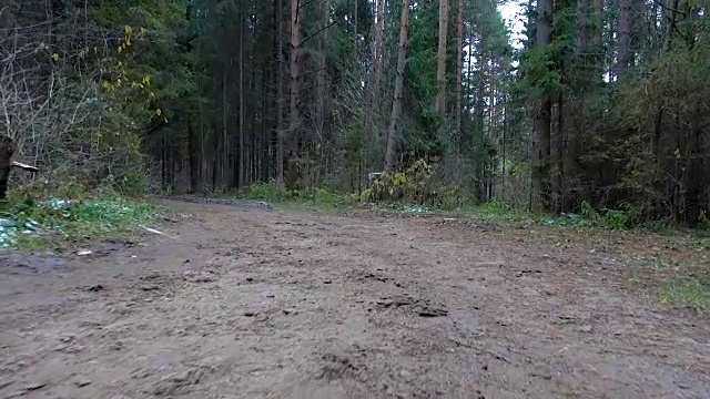 走在森林里肮脏的小路上视频下载