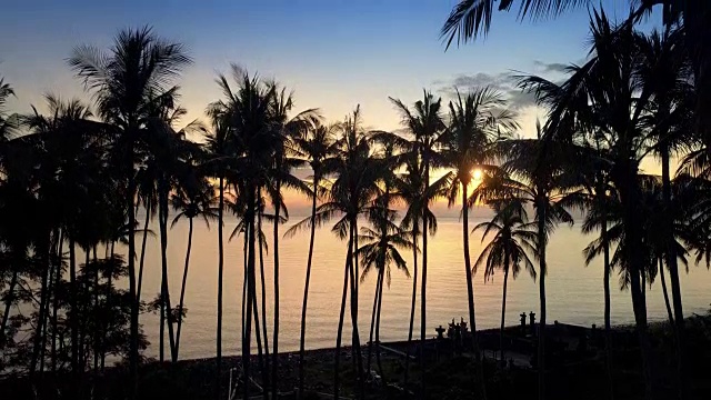 从无人机鸟瞰海上，海岸，棕榈树在海滩上，巴厘岛，印度尼西亚日出视频素材