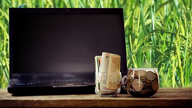 农业工业和商业概念，多货币在一个清晰的玻璃，与笔记本电脑放在自然美丽的纹理木板，也背景是新鲜的茉莉稻田与窗格从右至左。宏视频，4K分辨率，23.976fps。视频下载