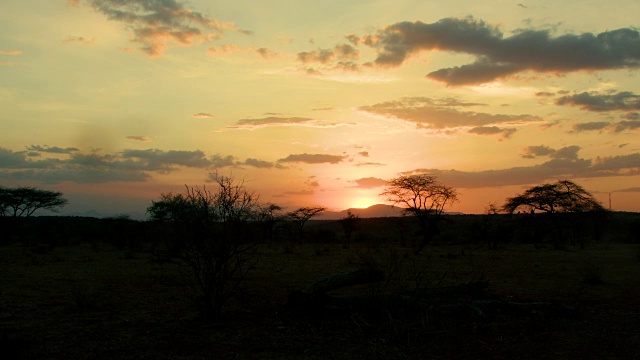 金色天空日落和剪影，桑布鲁，肯尼亚，非洲视频素材