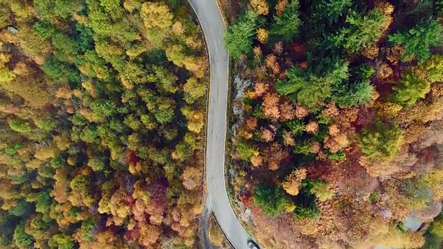 空中鸟瞰汽车行驶在五彩缤纷的秋天森林道路上。秋天有橙、绿、黄、红的树林。山区街道道路的建立。4k无人机飞行直线下降建立拍摄视频素材