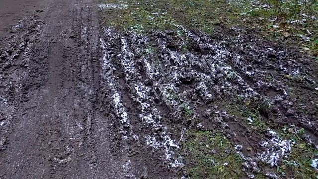 拍摄森林中泥泞的水坑视频下载