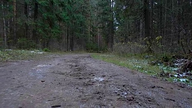 拍摄森林中肮脏的道路视频下载