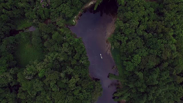 南美洲亚马逊雨林鸟瞰图视频素材