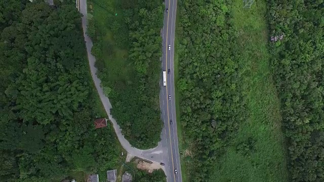森林中道路的鸟瞰图视频素材