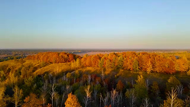 鸟瞰图:飞越秋天的森林。视频素材