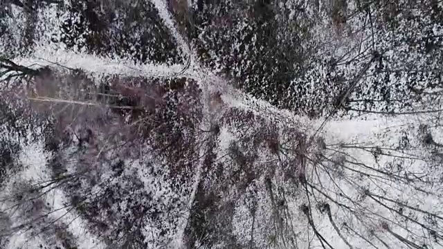 空中无人机飞行创建在雪山森林上空。冬天的雪在野外的山中自然。直接透视旅行探索阿尔卑斯山。4k俯视图视频视频素材