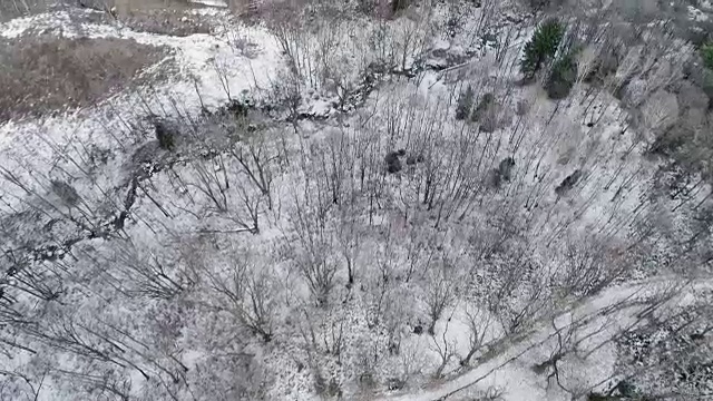 空中无人机飞行建立在雪山森林上空。冬天的雪在野外的山中自然。直接透视旅行探索阿尔卑斯山。4k俯视图视频视频素材