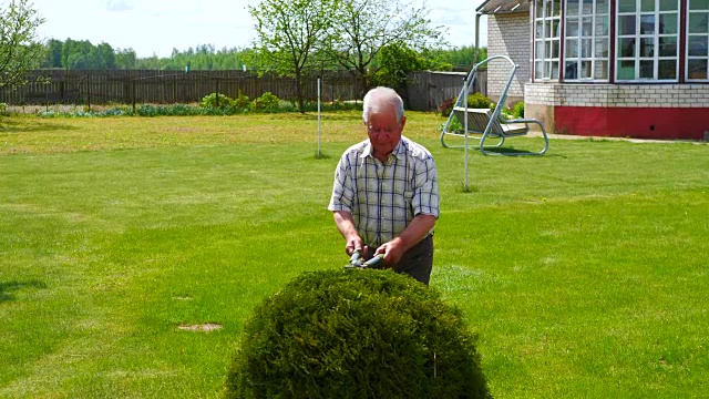 勤劳的老人用一把漂亮的剪刀修剪花园观赏灌木。视频素材