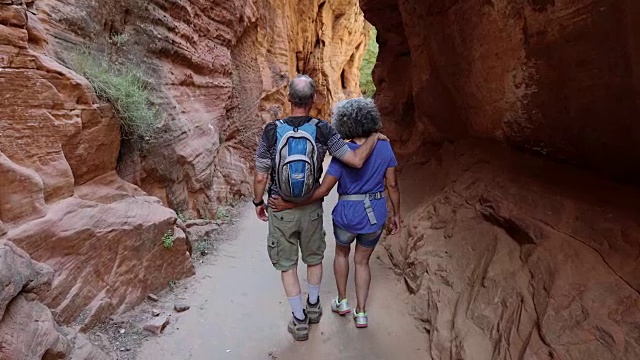 4K超高清:老年夫妇走过峡谷视频素材