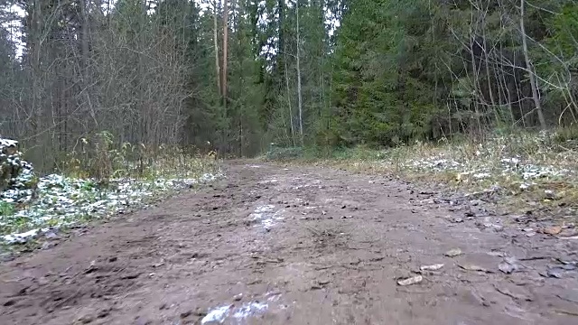 在森林里拍摄冰冻的泥土视频下载