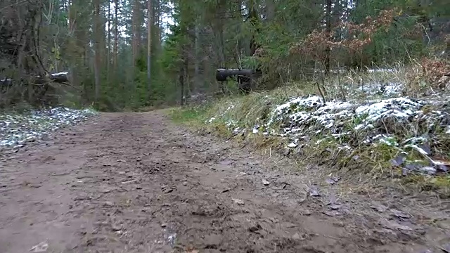 森林里结冰的肮脏道路的视频视频下载