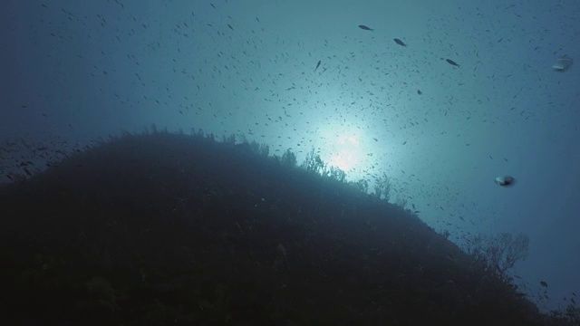 低角度拍摄的水下礁石视频素材