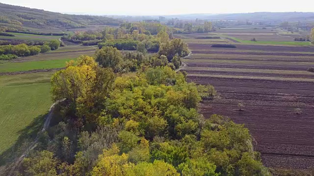 农田和树木4K视频素材