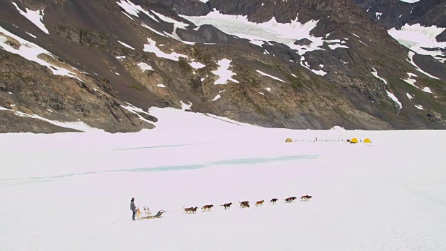 鸟瞰图狗拉雪橇阿拉斯加，美国视频素材