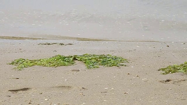阿雷柳海滩的水视频素材