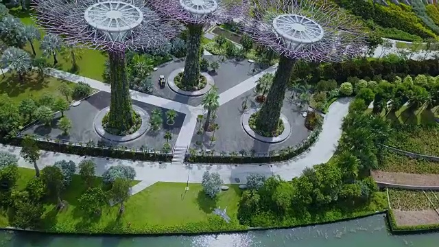 新加坡的格罗夫花园视频下载