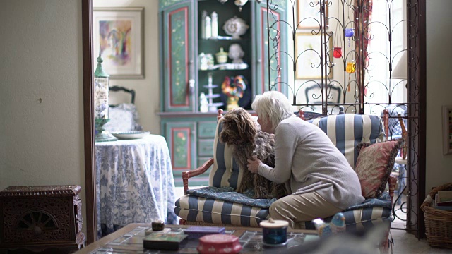 一位年长的女士在家里和她的狗玩视频素材