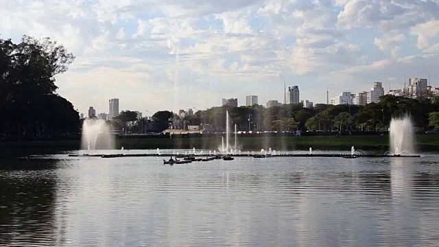 巴西圣保罗Ibirapuera公园的湖视频素材
