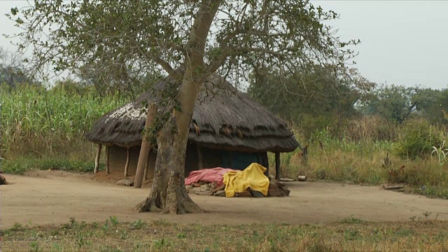 MS农村小屋/朱巴/中赤道/南苏丹视频素材