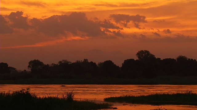 日落时的WS白尼罗河/朱巴/中赤道/南苏丹视频素材