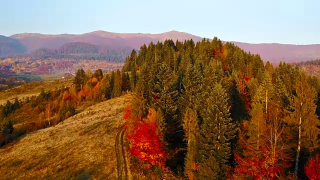 鸟瞰图:在秋天日落时飞过喀尔巴阡山脉美丽的混合森林。农村地区。农村的道路。视频素材