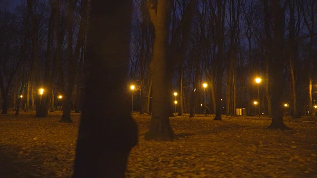 公园里秋天的夜巷视频素材