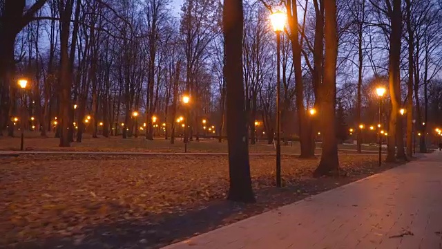 公园里秋天的夜巷视频素材