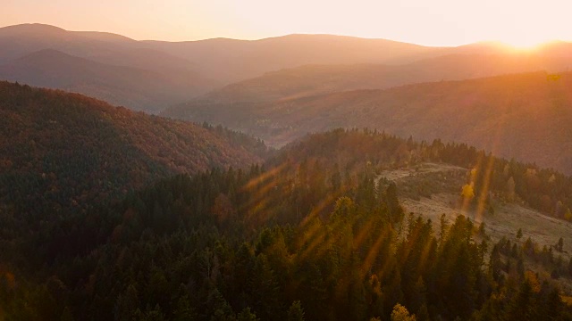 鸟瞰图:在秋天日落时飞过喀尔巴阡山脉美丽的森林。阳光下山上美丽的云杉林。视频素材