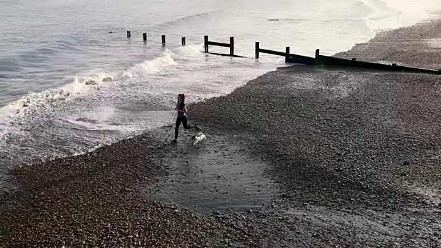女慢跑的海滩与狗视频素材