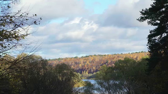 鸟瞰图在城市公园的河流或湖泊海岸的秋季景观。黄色的桦树和柳树在绿色的冷杉和松树之间。五颜六色的树叶的树。成熟的秋天。树在风中摇摆。秋天的城市里，金色的树叶飘落在地上视频素材