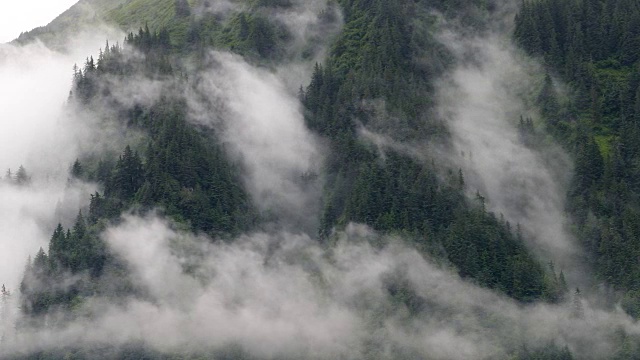 漩涡雾在森林-时间流逝视频素材