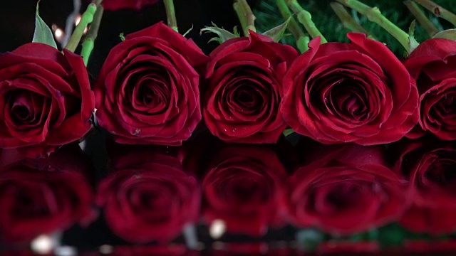 红玫瑰排成一排。视频下载