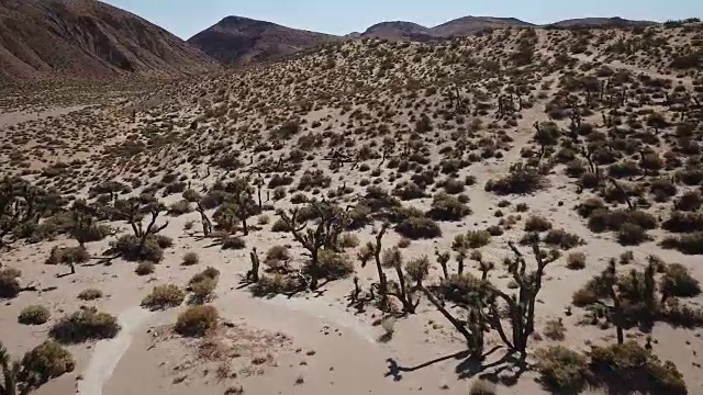 缓慢飞行在贫瘠的沙漠山谷视频素材