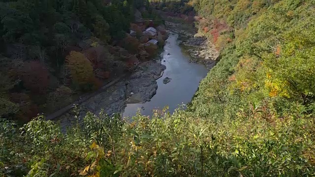 鸟瞰图秋桂河从岚山的观点，日本京都视频下载