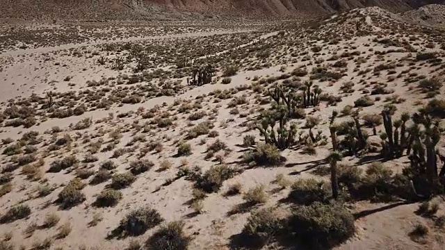 飞越干旱的沙漠景观在加利福尼亚视频素材