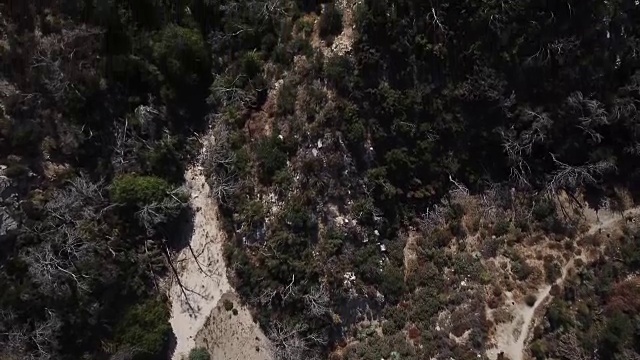 加州山脉树木之上视频素材