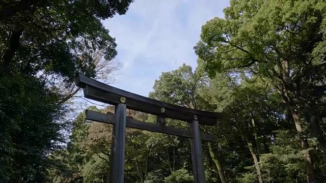 日本鸟居门与蓝天在公共公园视频下载