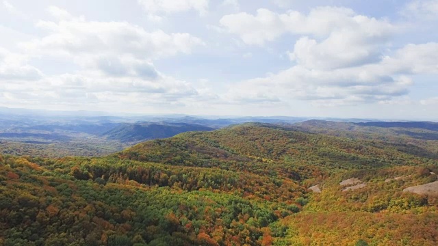 AERIAL:山脊上的秋色森林视频素材