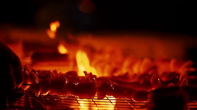 烤鸡串，烧烤，一群人花时间在篝火上烧烤视频素材