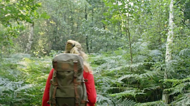 在树林里探索蕨类植物的女人视频下载
