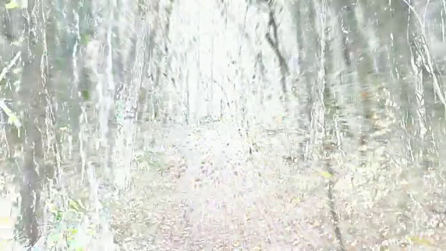 非凡的漫步:穿过落叶林的小路，秋天-明亮(循环)视频下载