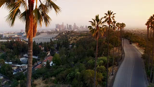 日落时分，洛杉矶一棵棕榈树上的基座视频素材