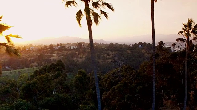 空中拍摄的日落中的棕榈树视频素材