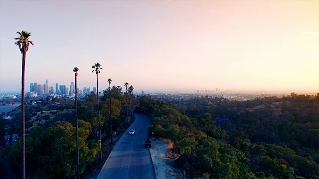 高高的棕榈树和洛杉矶市中心的鸟瞰图视频素材