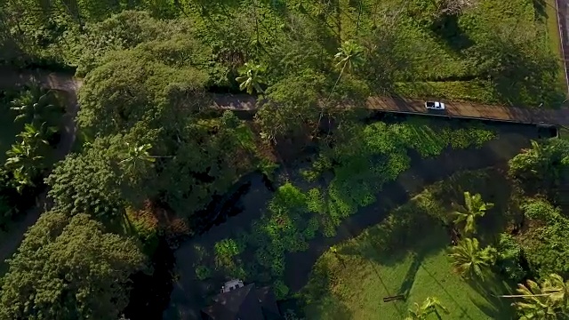 空中-斐济天堂视频素材