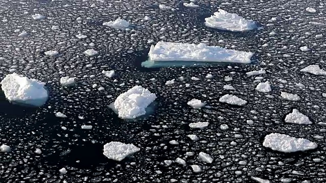 南极海洋中的浮冰和冰山视频素材