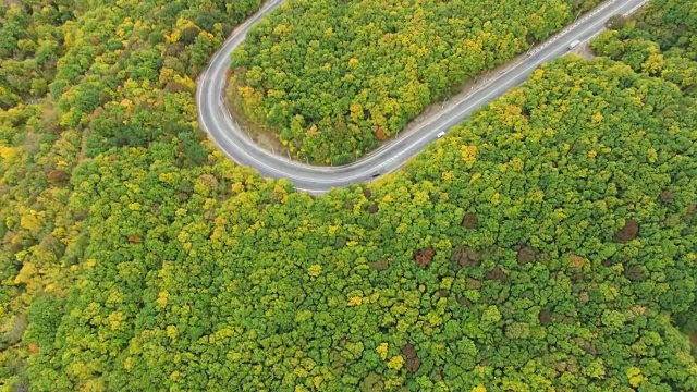 天线:五彩林地中的蜿蜒道路视频素材