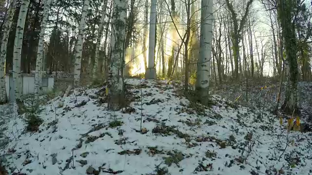 移动POV在冬季木材与树木背光由日落和热水蒸汽蒸发视频素材